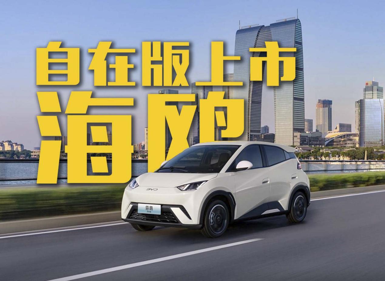 比亚迪海鸥累销百万！自在版正式上市！
