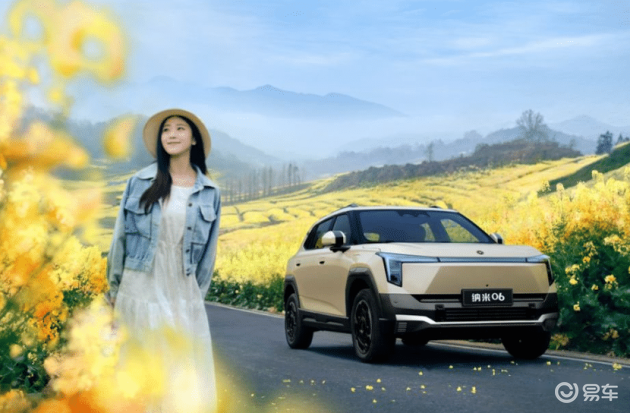 纳米06 vs 元UP:续航、空间与智能对比