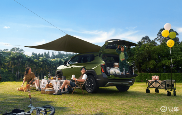 纳米06 vs 元UP:续航、空间与智能对比