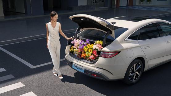 唐DM-i领航加推175KM版&海豹07DM-i西安上市